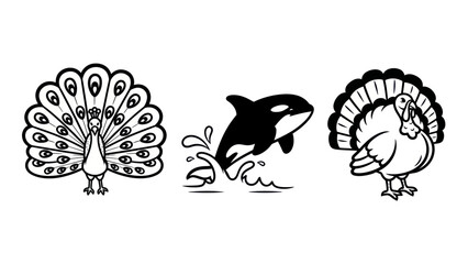 Black and white animal illustrations peacock orca and turkey designs