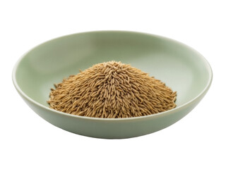 Isolated dish of ripe paddy rice, traditional grain on a kitchen plate for cooking food