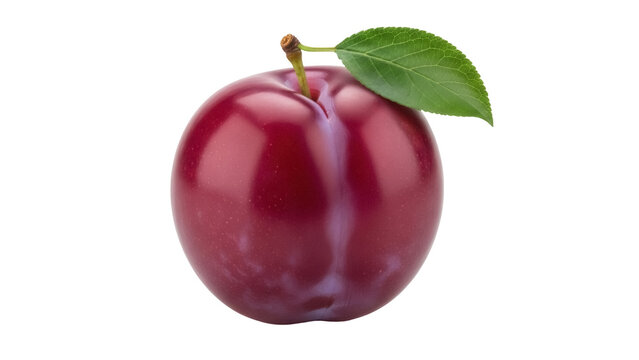 Isolated plum with leaf healthy natural ingredient for vegetarian or vegan snack fresh fruit