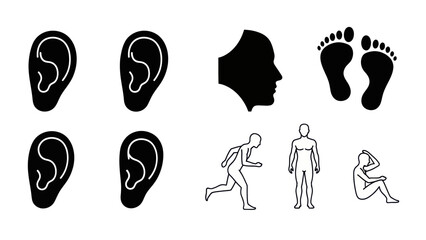 Black and white human anatomy vector illustrations on white background