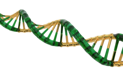 Isolated close-up of green and gold DNA model for science, medical, genetics illustration