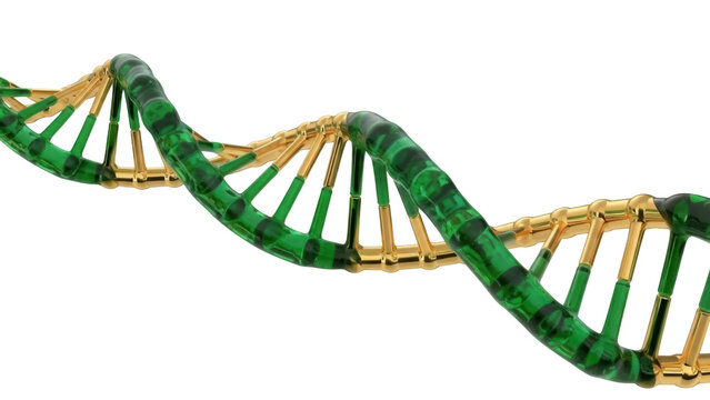 Isolated close-up of green and gold DNA model for science, medical, genetics illustration