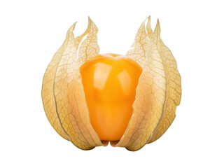 Isolated Cape gooseberry fruit with paper husk, ripe physalis angulata with no background
