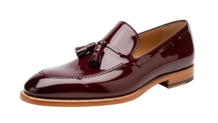 Isolated tassel loafer shoe, luxurious leather slip-on footwear, dress shoe, style, studio shot
