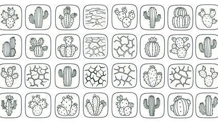 Cactus variety set vector illustrations of desert plants in square frames