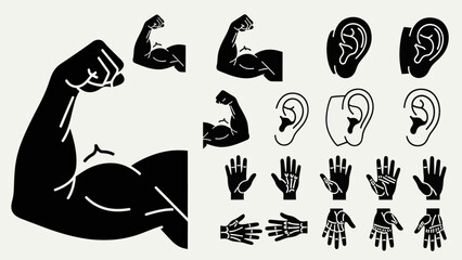 Obraz premium Black and white silhouette of human body parts and musculature graphics