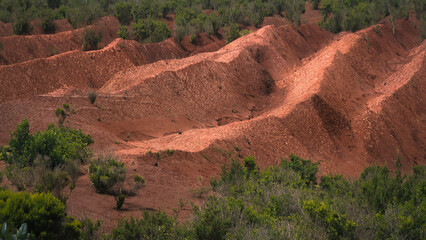 Exploring the Stunning Landscapes of Agulo in La Gomera, Spain