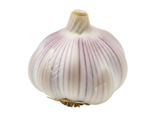 Isolated garlic bulb, close-up view with its textured skin, a popular spice for cooking