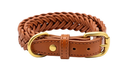 Isolated brown leather dog collar with braid pattern and gold colored buckle and loop on a plain backdrop
