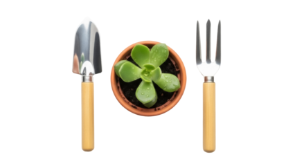 Isolated trowel, succulent plant, and fork, on a neutral surface, viewed from above.
