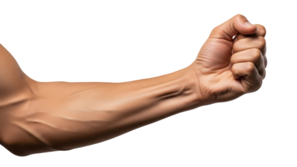 Isolated muscular arm and hand in a fist pose, demonstrating strength and power, studio shot