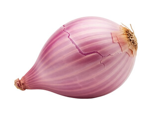 Isolated long shallot shows crack in skin and brown hairy top in a horizontal still life shot