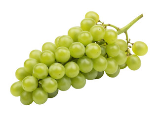 Isolated bunch of fresh green grapes with stem and leaves, healthy fruit snack, vineyard bounty