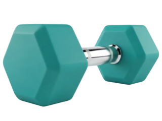 Isolated dumbbell weight for gym fitness training, sports equipment and exercise, strength lifting