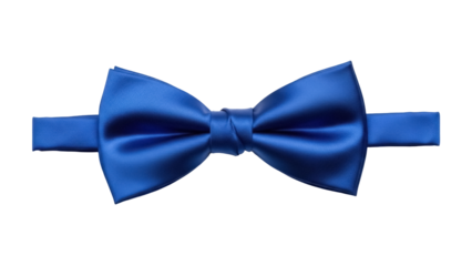 Isolated elegant royal blue bow tie, groom accessory, clothing neckwear, silky fashionable