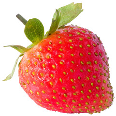 Close-Up of Fresh Strawberry with Green Stem in Transparent Background