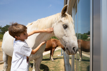 Young boy gently petting white horse in paddock near modern stable