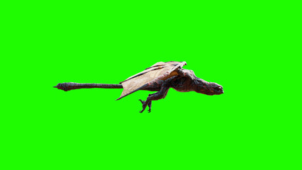 A Dragon Flying In The Air With Green Screen
