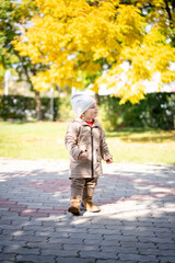 Portrait of happy little boy playing by himself in the park. Colorful fall outdoors