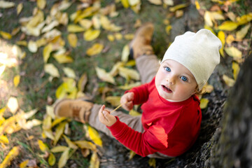 Portrait of happy little boy playing by himself in the park. Colorful fall outdoors