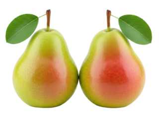 Isolated two pears with stems and leaves, studio shot of fresh, raw fruit, healthy eating