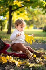 Portrait of happy little boy playing by himself in the park. Colorful fall outdoors