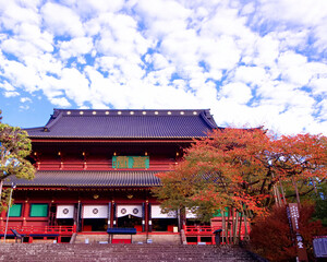 日光市　日光山輪王寺　三仏堂と金剛桜の紅葉