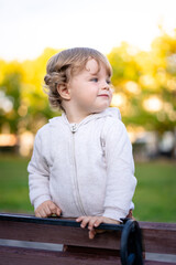 Portrait of happy little boy playing by himself in the park. Colorful fall outdoors