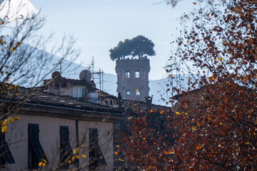 lucca