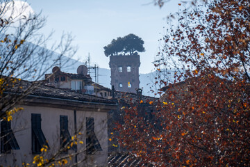 lucca