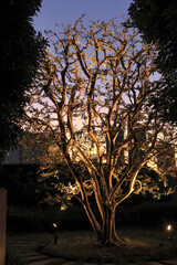 東京散歩　夜明け前の汐留湾岸地区