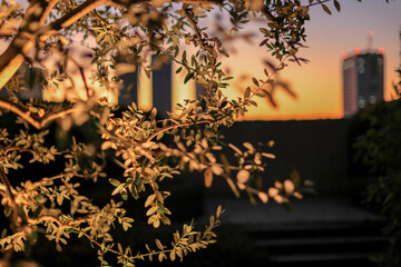 東京散歩　夜明け前の汐留湾岸地区