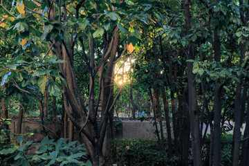 東京散歩　夜明け前の汐留湾岸地区