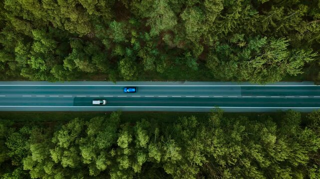 Car driving through forest highway. Silver hatchback moving under cloudy sky top view. Automobile cruising on empty road between dense trees. Transport traveling along quiet scenic route