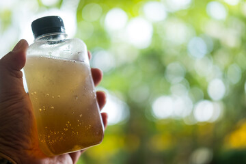 Refreshing lemon honey soda in take away plastic bottle against nature background