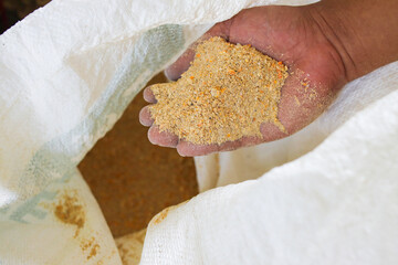 Quality Assured Animal Feed Held in Hand From Fresh Bag for Nutritious Farming and Agriculture