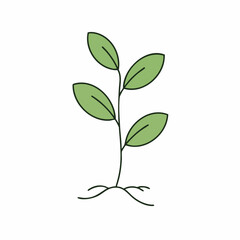 Obraz premium Stylized seedling illustration with four green leaves and simple root system