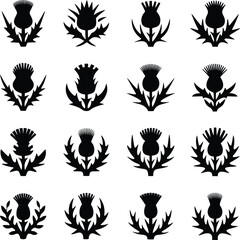 Thistle Flower Silhouette Icon Set Vector Collection