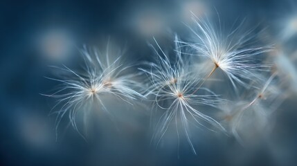 Naklejka premium Abstract Seed Fluff Floating on a Blue Background in Macro Photography Displaying Delicate Beauty