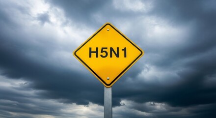 Fototapeta premium H5n1 avian flu warning sign with ominous stormy sky background
