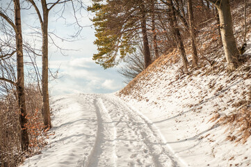 Schneelandschaft mit Fahrspur auf  Wanderweg Gustav-Str&ouml;hmfeld-Weg und Eduard M&ouml;rike Weg am ehemaligen Vulkanschlot Jusiberg in Kohlberg mit kahlen B&auml;umen und Nadelbaum vor Wolkenhimmel