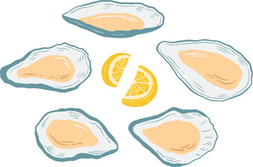 Hand drawn oysters with lemon on white background. Seafood vector illustration