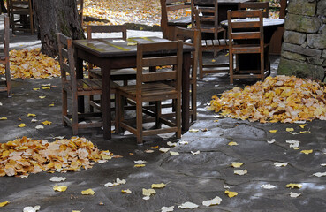Leaves and tables in October
