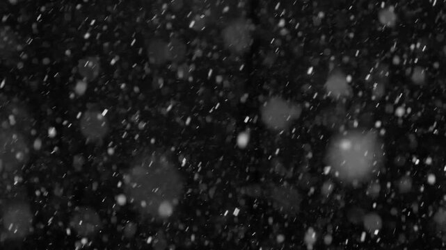 White snow isolated on black background, natural and real, winter nature, using for overlay effect