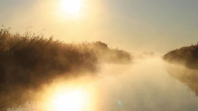 Morning light shines over the Yelnya swamp in Belarus. The mist rises above the water, and the sun begins to warm the landscape. Nature awakens with the start of a new day