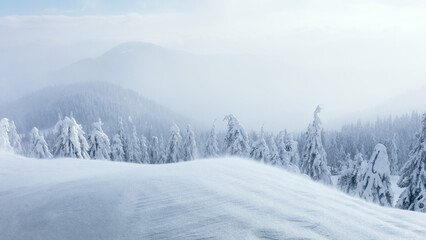 Winter mountains in soft blue light covered by fresh snow. Calm snowy landscape with fog and atmospheric frozen nature