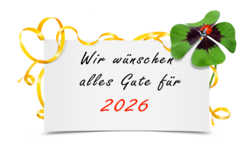 Silvester 618