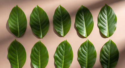Green Leaves Pattern Flat Lay Beige Background Copy Space