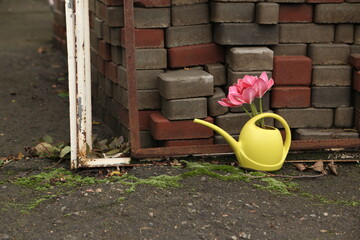 Bright Yellow Watering Can With Pink Flowers Resting Against Stacked Bricks and Mossy Ground Outdoor Scene