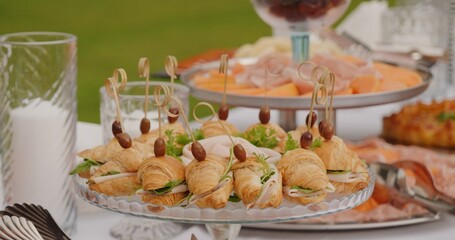 appetizer with salmon and cheese